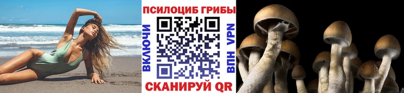 Галлюциногенные грибы прущие грибы  Ладушкин 